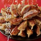 名物焼餃子 三個