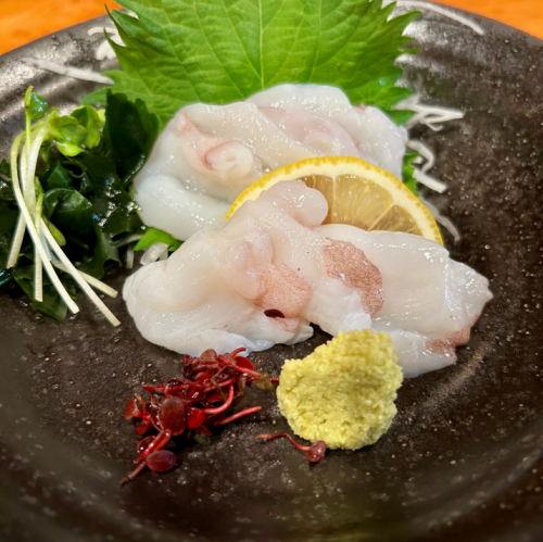 Octopus sashimi