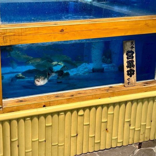 【生簀からご提供】当店では注文いただいてから捌きます。店内は落ち着いた和空間で、掘りごたつ個室やカウンター席も完備。接待や観光、会社帰りの一杯にも最適。