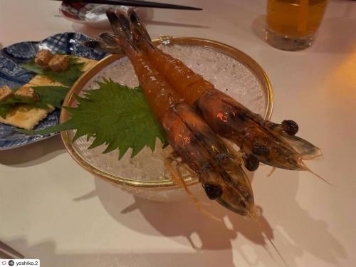 repost 
@yoshiko.2 様

ご来店頂き、素敵なお写真をご投稿頂きましてありがとうございます🌈
バースデーコースお楽しみいただけましたでしょうか🎂🎈

是非、またシンシンでお食事をお楽しみください🇨🇳
・
・
・
#エビ中華シンシン 

エビ料理満喫した！

酔っ払い天使の海老
クリームチーズの紹興酒漬け
ハチノスの甘辛炒め
海老水餃子
よだれ鶏
小籠包
海老チーズ春巻き
カクテルシュリンプ
シンシンの海老マヨ
青椒肉絲
麻婆豆腐
海老チャーハン
胡麻団子

12品＋バースデープレート
全部めっちゃおいしかったー！

大満足！

#船橋グルメ #千葉グルメ 
#船橋中華 #シンシン