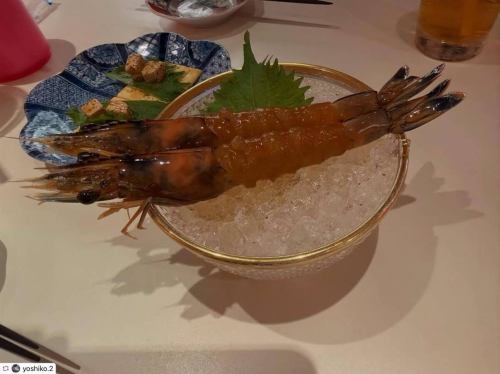 repost
@yoshiko.2 님

내점해 주셔서 멋진 사진을 올려 주셔서 감사합니다 🌈
생일 코스를 즐길 수 있을까요 🎂🎈

꼭 다시 신신으로 식사를 즐기세요 🇨🇳
·
·
·
#새우중화신신

새우 요리를 즐겼다!

술취한 천사 새우
크림치즈의 사오싱 술에 절인
하치노스의 달콤한 볶음
새우 물만두
침 닭
코 고메 파오
새우 치즈 춘권
칵테일 슈림프
신신의 새우 마요
파랑 카미 육사
마파 두부
새우 볶음밥
참깨 경단

12품 + 생일 플레이트
모두 굉장히 맛있었습니다!

대만족!

#후나바시 음식 #지바 음식
#후나바시중화 #신신