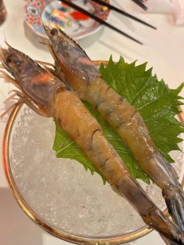 #repost
@chiba_funabashi 님

내점 주셔서 감사합니다 😊

멋진 사진을 올려 주셔서 감사합니다 🦐🌈
신신 자랑의 「〆의 중화소바」는 즐길 수 있었을까요🍜

또 내점 진심으로 기다리고 있습니다!
·
·
·
.
【Shop ☆ 점명】
#새우중화신신
혼마치의 [일정]의 계열점.
본격 중화에서 가벼운 안주계가 있는 가게.

【Menu ☆ 메뉴】
#한밤중중화소바
외형은 매운 것 같지만 바삭 바삭하다고 받았습니다!

*취취 천사의 새우 ¥363(1개)
확실히 맛이 얼룩지고 있다 ✨그 외에서는 맛볼 수 없는 느낌.

* 새우 칠리 소스 볶음 ¥ 880

*오고리포 ¥693

【Address ☆ 주소】
지바현 후나바시시 혼마치 4가 43-20 nano 빌딩 102

【Business hours ☆ 영업 시간】
정기휴일(없음)
16:00~0:00