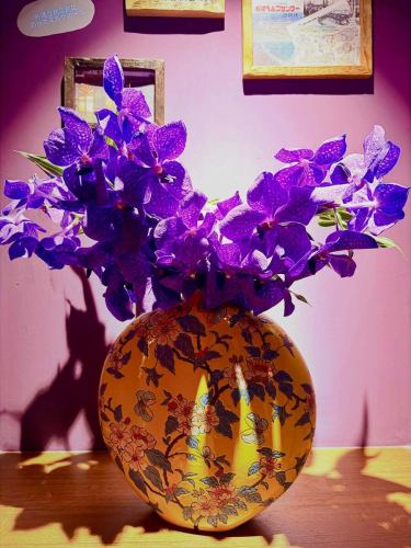 후나바시에서 부담없이 중화를 가로막는 장소, 새우 중화 신신.

후나바시의 네오 선술집

점내 장식의 꽃은 신신 옆의 꽃집이
매주 계절 시기를 보고 꽃을 바꾸어 줍니다!

이번 주 꽃은 "반다"

꽃말은
「품위있는 아름다움 화려한 사랑 개성적」

반다는 열대에 자생하고 뿌리가 나무에 감겨 공중으로 뻗는 모습(착생)에서 유래하여 우아함과 독특한 생태를 연상시키는 말이 붙여졌습니다.화려하고 선명한 런이며, 선물에도 인기입니다.

신신에 왔을 때 꽃도보고 계절을 느껴주세요!

#중화
#후나바시
#새우중화신신
#귀여움
#지바맛집