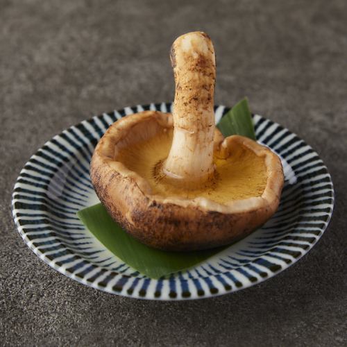 肉厚どんこ椎茸