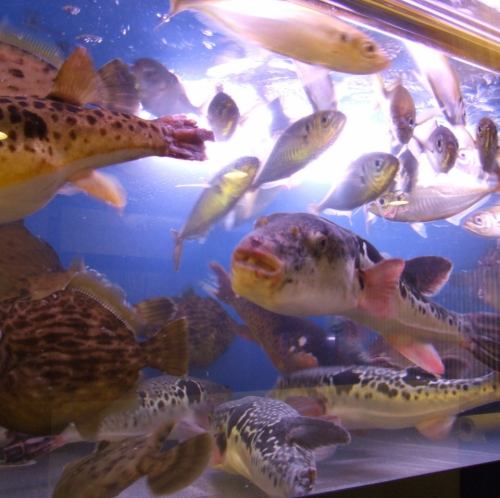 全国直送仕入れの鮮魚！！