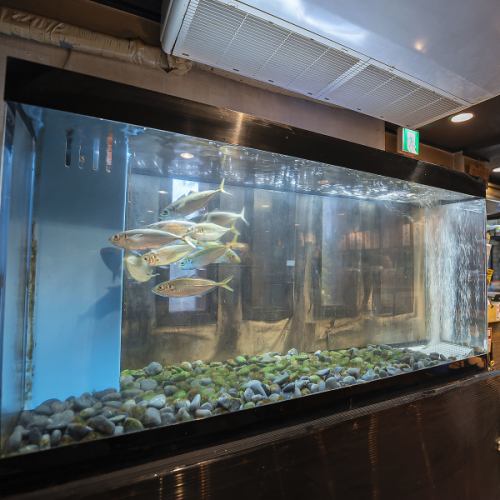 鮮度抜群◎イケスの活魚！