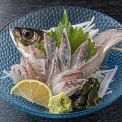 泳ぎあじ姿（お造り or たたき）