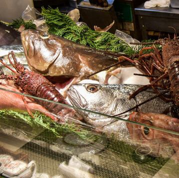 食材の鮮度にこだわり、新鮮な魚介類を提供しています。