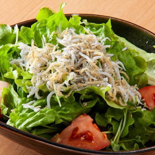 Shirasu and green leaf blue shiso salad