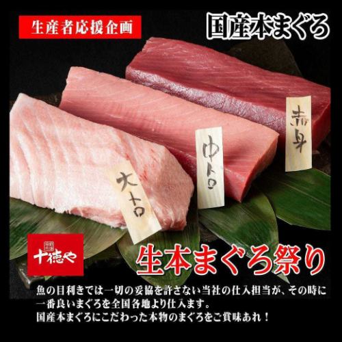2日間限定！6/8(日)～9(月)『生本まぐろ祭り』