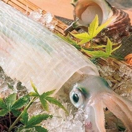 贅沢！ヤリイカ活姿造りがなんと25％OFF！《入荷次第限定》