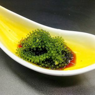 바다 포도