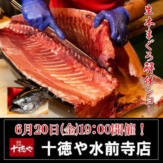 迫力満点！6/20(金)19:00～スタート・まぐろ解体ショー！