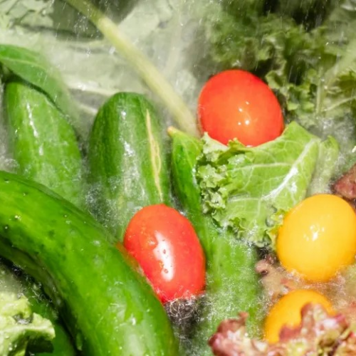 鮮度抜群の厳選野菜！