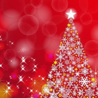 [Christmas Special Course] Toast drink + 6 dishes prepared by the chef + special dessert ♪ 6,600 yen Perfect for Christmas night!