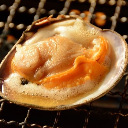 Jumbo clam (1 piece)
