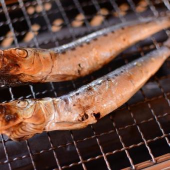 阿久根産 丸干しいわし