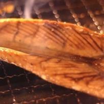 枕崎産 鰹のはらがわ