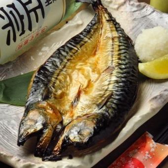 名物!焼きたて肉厚 とろさばの開き
