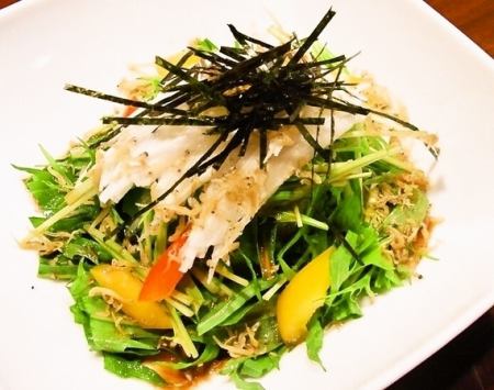 Mizuna and Nagatoro salad