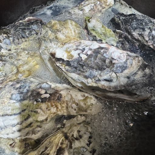 焼きがきと蒸しがき食べ放題60分3480円