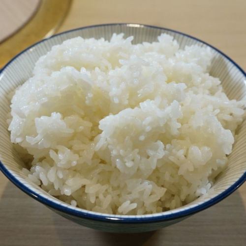 ライス 大