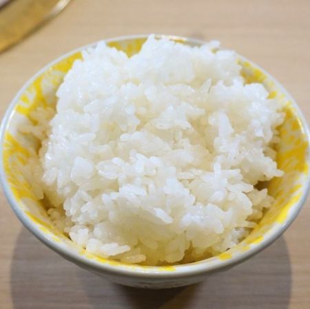 ライス 中