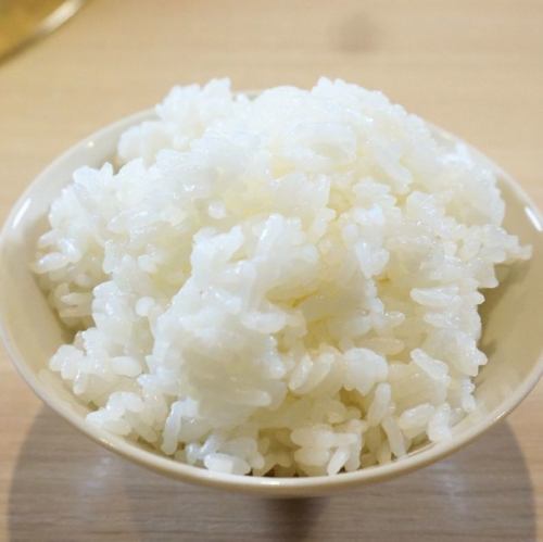 ライス 小