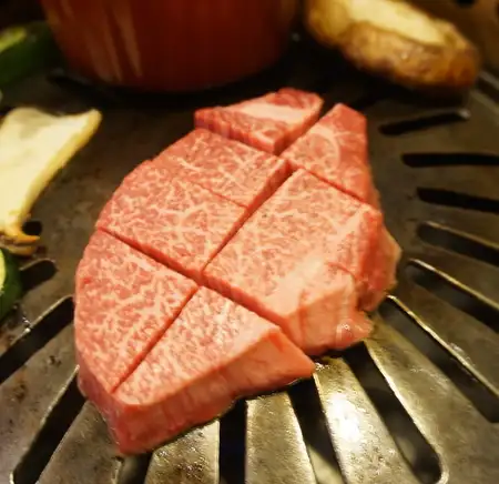 特選ヒレ100g