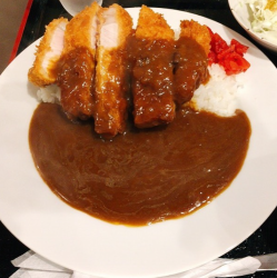 ロースカツカレー(90g)