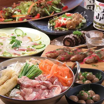 Perfect for hot pot parties and year-end/New Year's parties! Includes 2 hours of all-you-can-drink draft beer and 8 dishes including salt-based chanko hot pot, sashimi, and shumai.