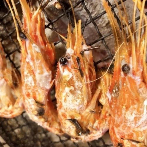【新鮮な一品の数々】