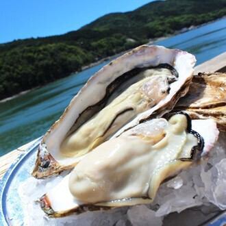 厳しい基準で安心・安全！
