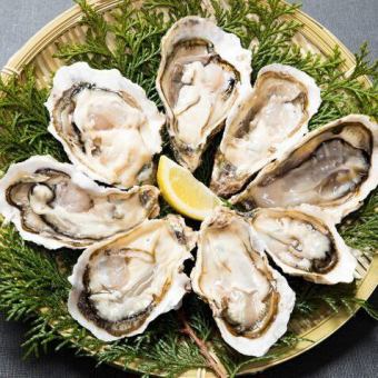 【生牡蠣&焼き牡蠣&蒸し牡蠣が食べ放題】大満足！フィーバーセット4980円♪