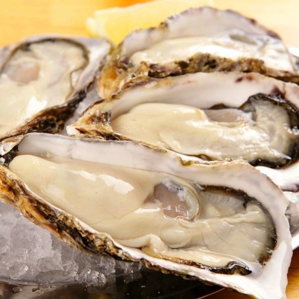 焼き牡蠣・生牡蠣が楽しめる！牡蠣満喫セット♪2980円！