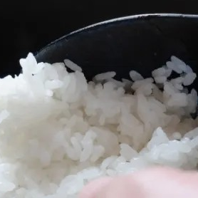 特別栽培米ひとめぼれ使用
