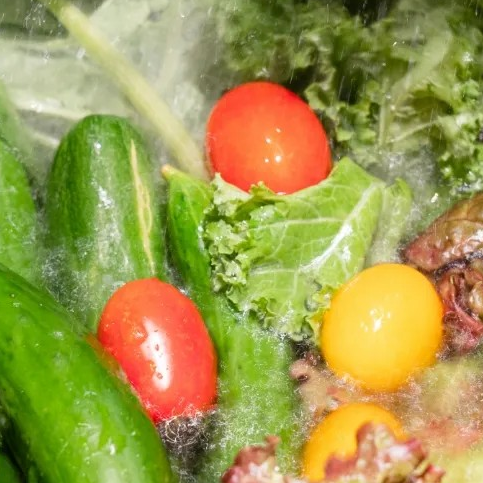 こだわりの野菜を使用！