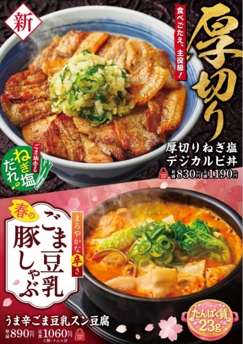 厚切りねぎ塩デジカルビ丼＆うま辛ごま豆乳スン豆腐