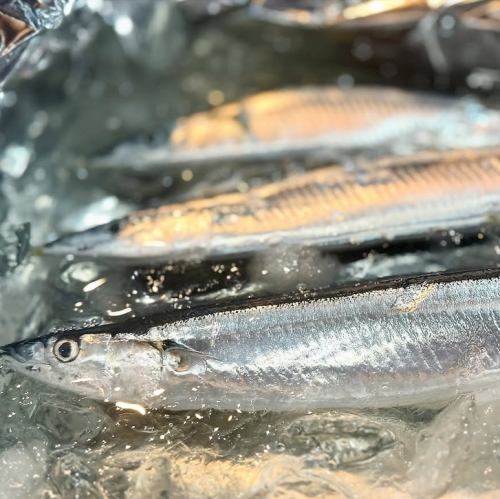 ◆新鮮な海の幸や土地の恵みを堪能