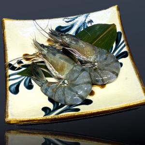 特大ウシエビ(2尾)