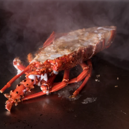 【雅】活伊勢海老と和牛ステーキ食べ比べコース。活伊勢海老とA5ランクステーキ等18700円(税込)