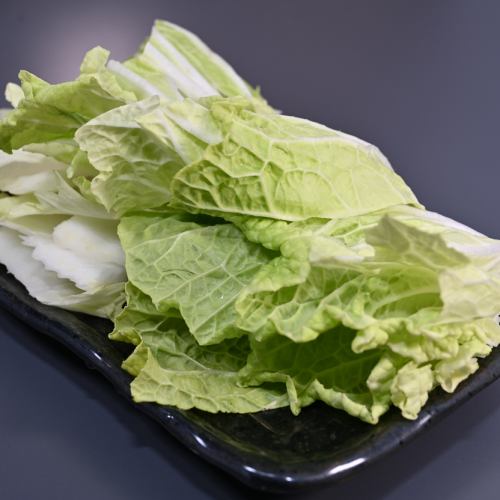 白菜