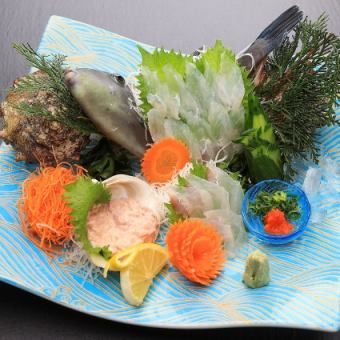 Live horse mackerel, live flounder, live squid sashimi