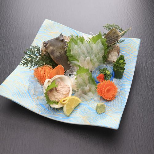 Live filefish, live red sea bream, live flathead whole figure sashimi