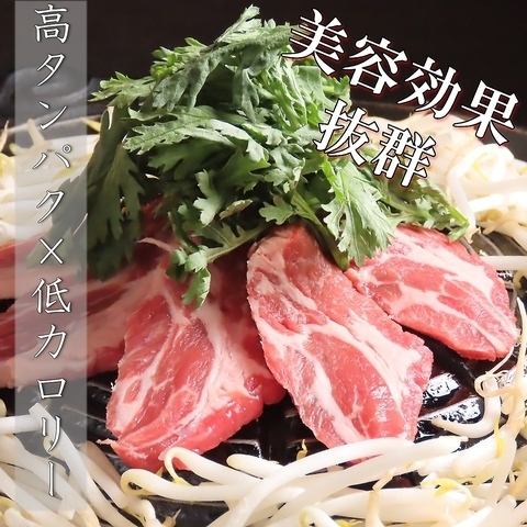 食べて痩せる！？ジンギスカンは高タンパク×低カロリーなので健康や美容効果も抜群！