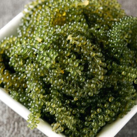 産地直送海ぶどう