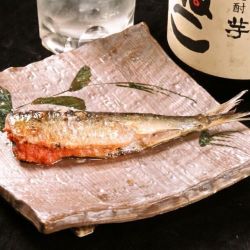 【人気】いわし明太