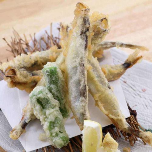 5 shrimp tempura with roe