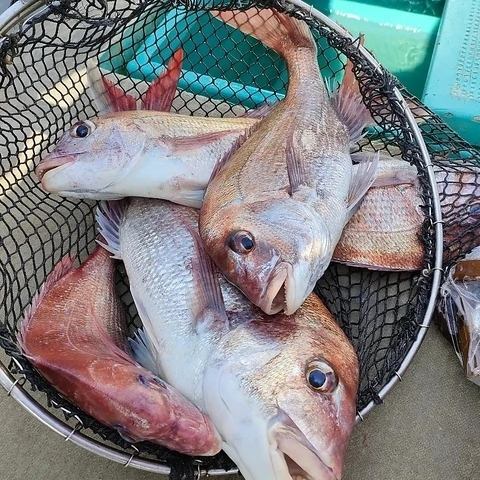東三国に大集合！！日本全国からの産地直送鮮魚っ！