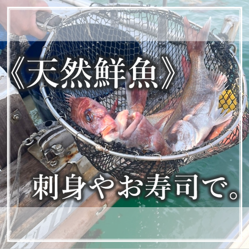 日本全国！現地で目利きした海鮮を満喫！